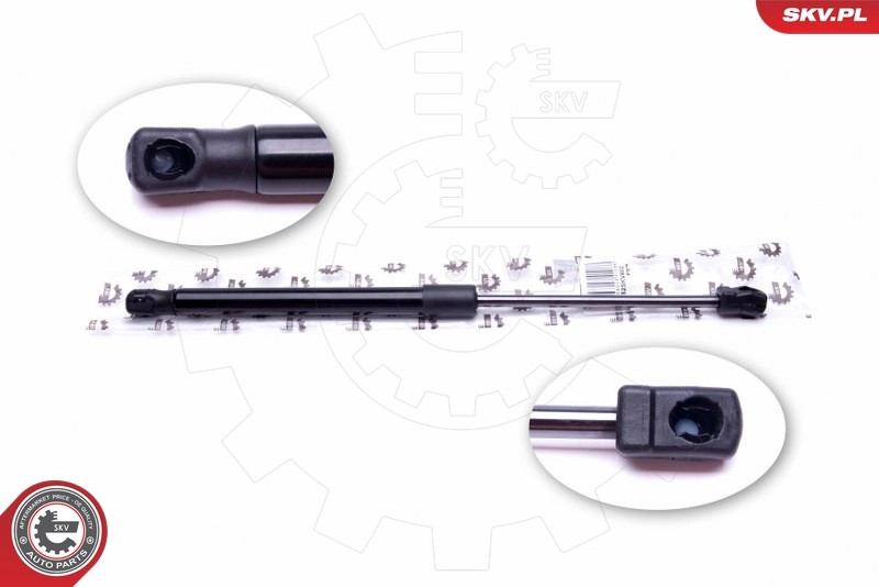 Gas Spring, boot/cargo area